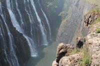 IMG__1729