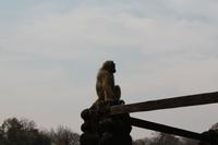 IMG__1754