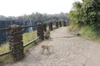 IMG__1758