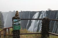 IMG__1763