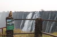 IMG__1764