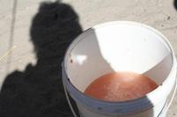 Melonenbier
