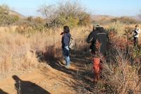 Morgenpirsch zu Fuß im Pilanesberg-Nationalpark