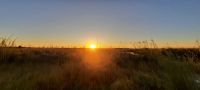 Namibia - Bootsfahrt auf dem Kwando - Sonnenuntergang