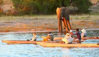 Namibia - Bootsfahrt auf dem Okavango