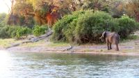 Namibia - Bootsfahrt auf dem Okavango