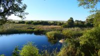 Namibia - Namushasha River Lodge am Kwando
