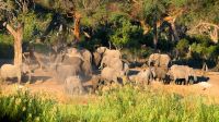Namibia - Ndhovu River Lodge - Uferpromenade mit Elefanten
