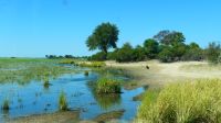 Namibia - Pirschfahrt im Mahango Park