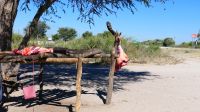 Namibia - Schlachter am Straßenrand