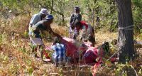 Namibia - Schlachter am Straßenrand
