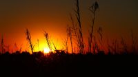 Namibia - Sonnenuntergang am Kwando
