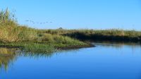 Namibia - mit den Boot zum Bwabwata Nationalpark