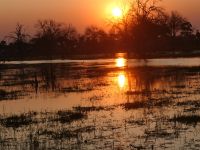 Sundowner am Khwai