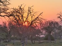 Sundowner am Khwai