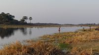 Thamalakane River Lodge