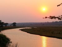 am Chobe