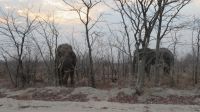 auf dem Weg in den Moremi NP.JPG