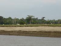 112-Bootsausflug_Lago_Janauaca