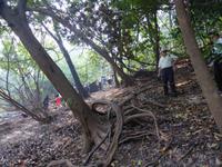 126-Manacapuru-Dschungelspaziergang