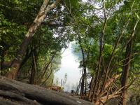 127-Manacapuru-Dschungelspaziergang