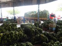 145-Manaus-Wochenmarkt