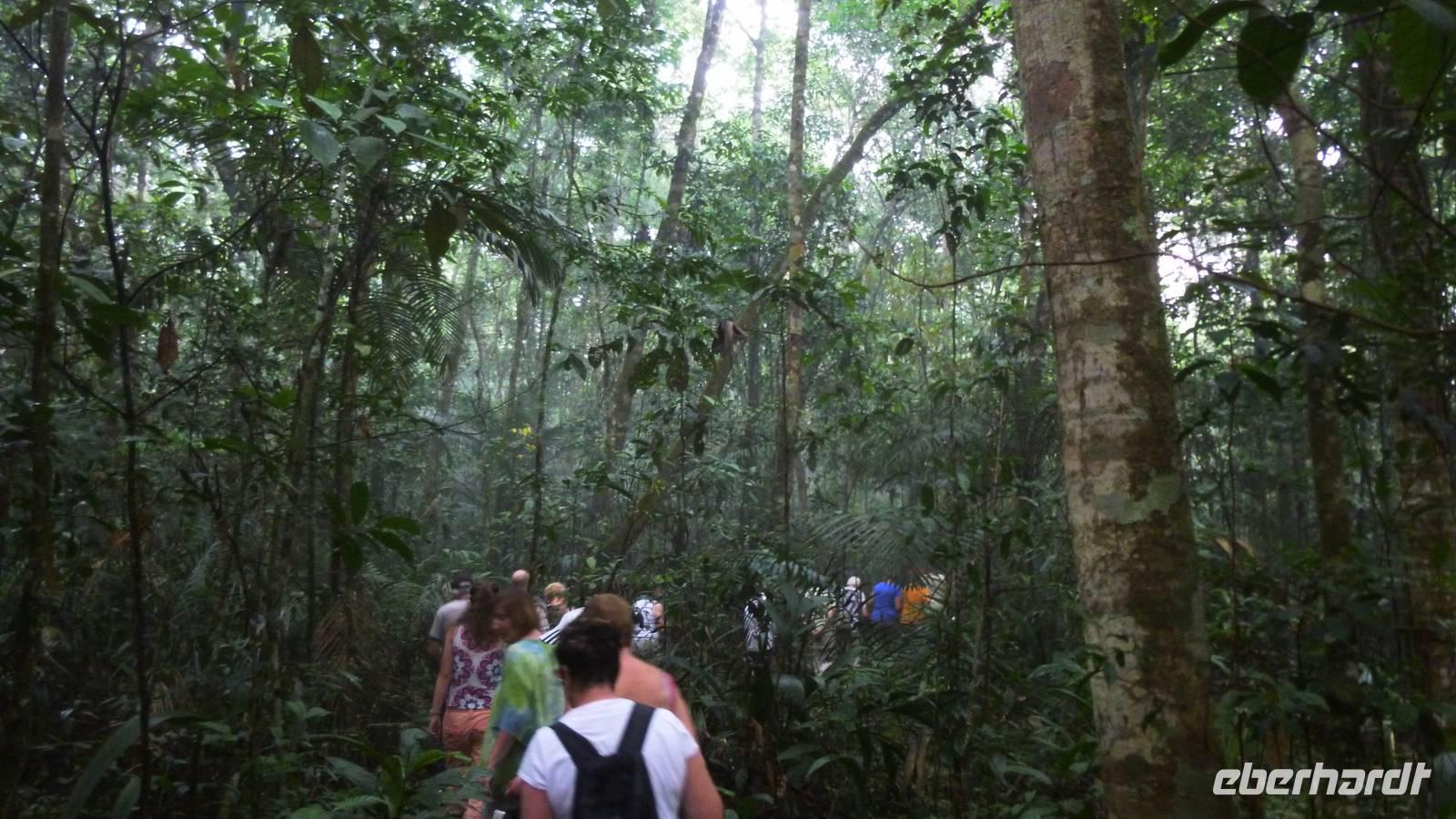 Dschungelwanderung
