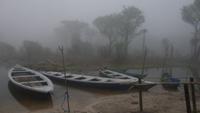 Morgenstimmung Amazonas