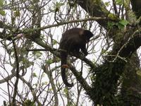 20 Rio Corcovado (15)