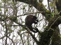 20 Rio Corcovado (16)