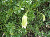 41 Bootsausflug Paraty (20)