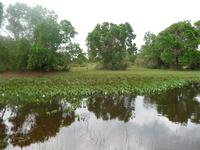 60 Pantanal Pousada Aguape (40)