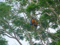 60 Pantanal Pousada Aguape (50)