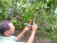 60 Pantanal Pousada Aguape (56)