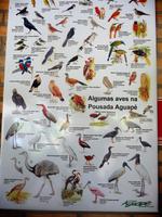 60 Pantanal Pousada Aguape (72)