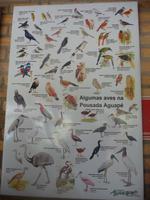 60 Pantanal Pousada Aguape (73)