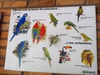 60 Pantanal Pousada Aguape (74)