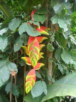 60 Pantanal Pousada Aguape (82)