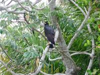 60 Pantanal Pousada Aguape (87)