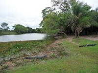 60 Pantanal Pousada Aguape (103)