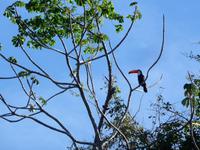 70 Pantanal Pousada Aguape (23)