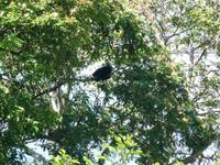 70 Pantanal Pousada Aguape (31)