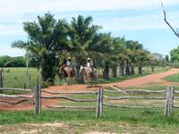 70 Pantanal Pousada Aguape (36)