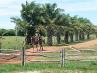 70 Pantanal Pousada Aguape (37)