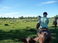 70 Pantanal Pousada Aguape (55)