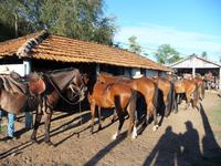 70 Pantanal Pousada Aguape (56)