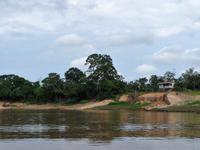 90 Auf dem Amazonas (16)