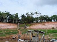 90 Auf dem Amazonas (29)