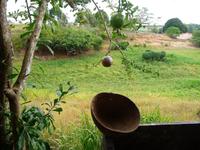 90 Auf dem Amazonas (31)