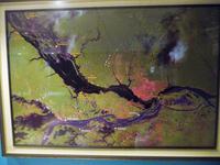 90 Auf dem Amazonas (59)